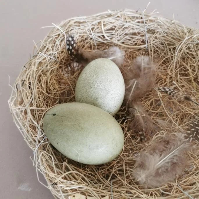 DIY: Brennnessel-Eier