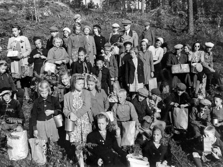 Beerenpflücken als Familien-Event