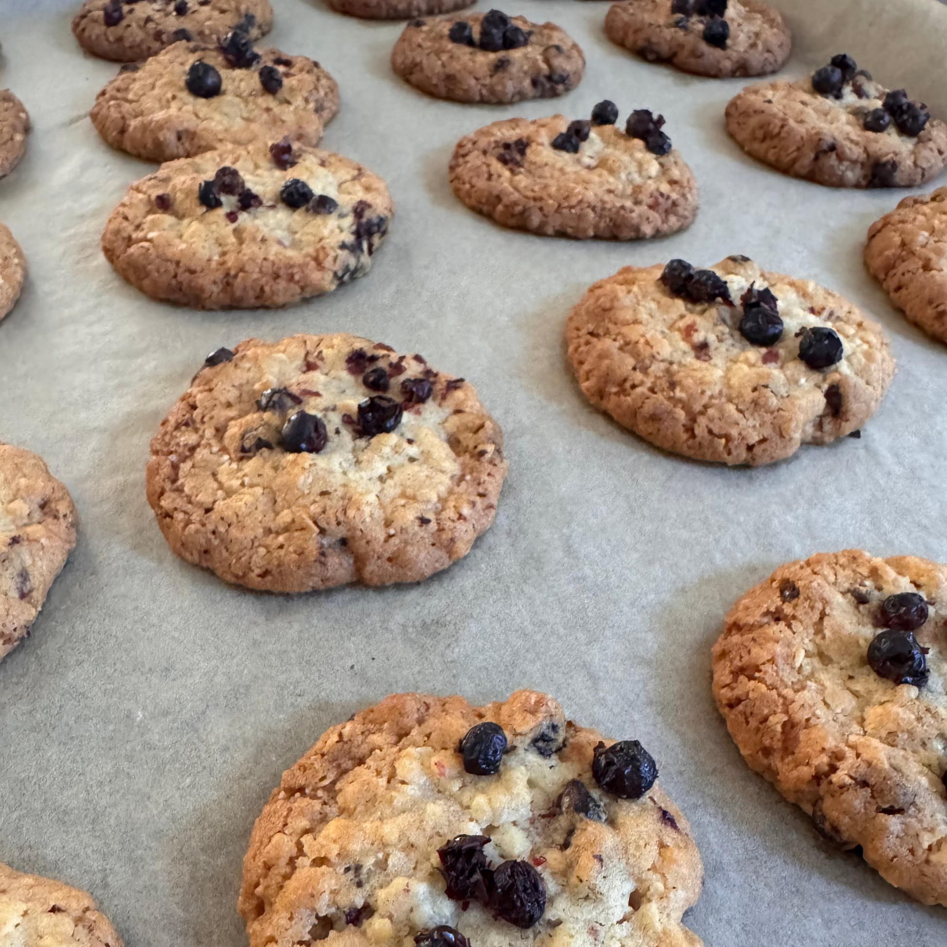 Ein Backblech, gefüllt mit gebackenen Heidelbeer-Haferkeksen.