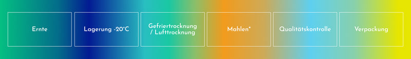 Horizontale Grafik des Produktionsprozesses: Ernte, Lagerung bei -20 , Gefriertrocknung, Mahlen, Qualitätskontrolle und Verpackung.