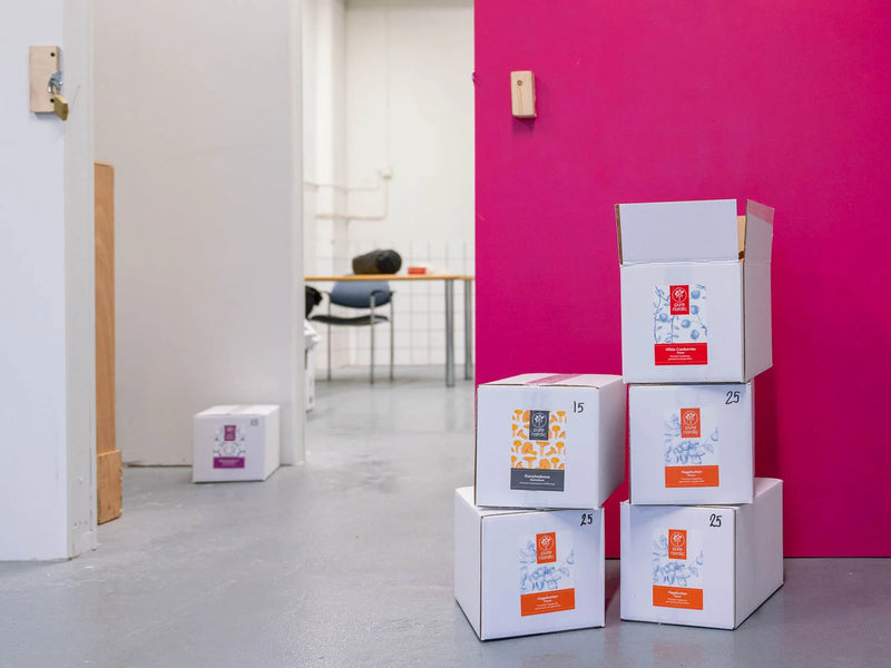 Einige gestapelte Pure Nordic-Boxen in einem Lagerhaus vor einer rosa Tür.