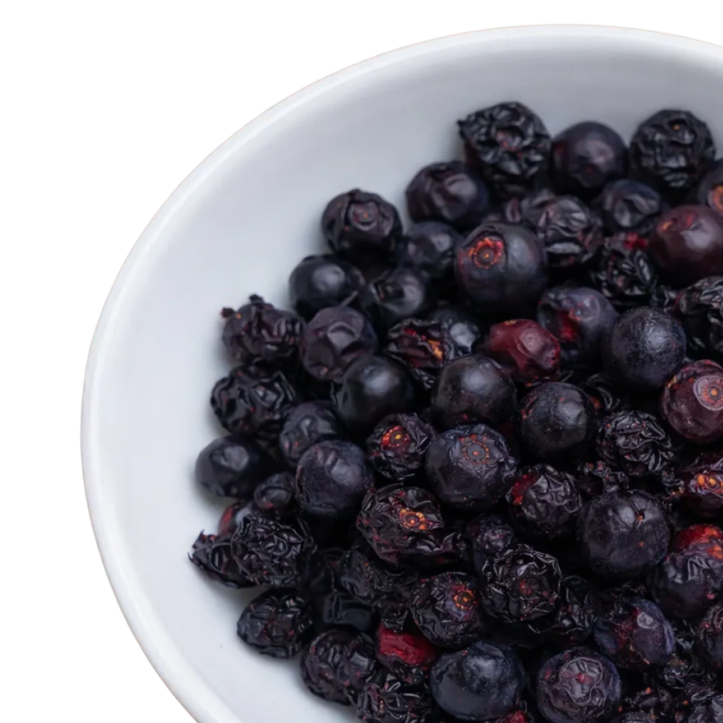 Weisse Schüssel, gefüllt mit tiefpurpurfarbenen, gefriergetrockneten Schwarze Johannisbeeren.