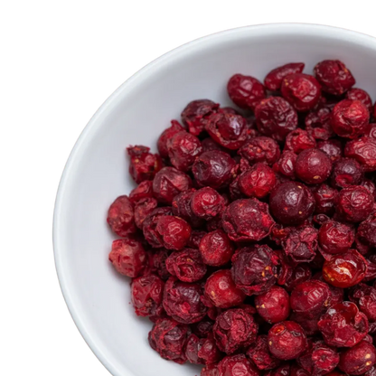 Weisse Schale, gefüllt mit gefriergetrockneten Cranberries.