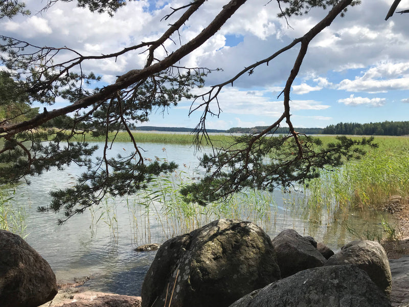 Landschaft mit See, Schilf und Felsen